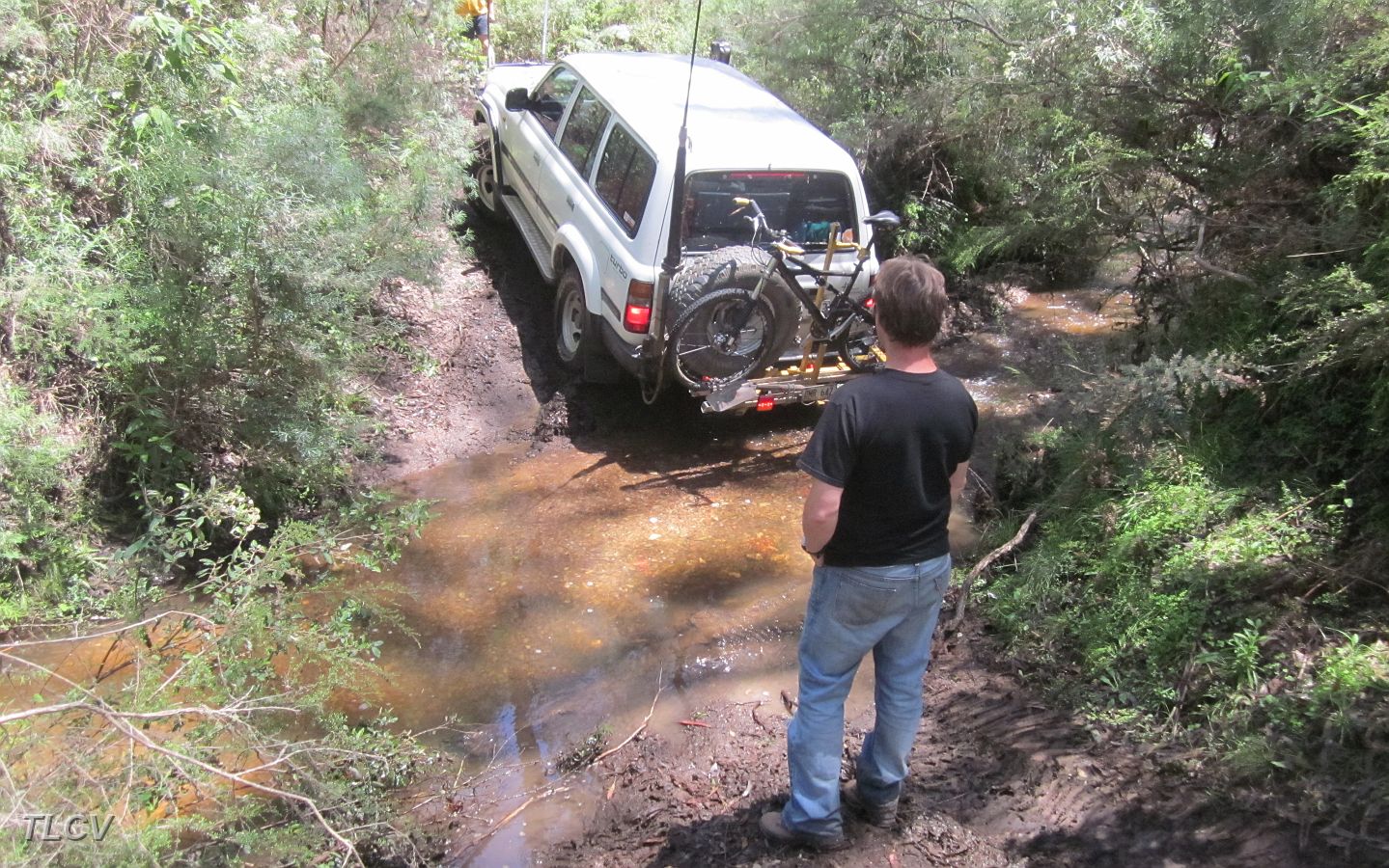 23-Gunther watches from behind as Zebra is recovered from a muddy creek crossing.JPG